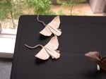 Rays - Nathan Geller