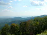 DSCN6502