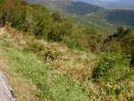 DSCN6503
