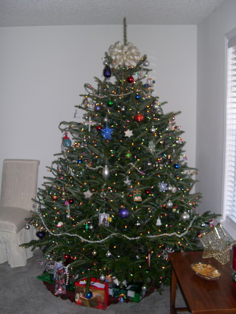 Christmas Tree (1)