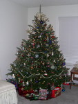 Christmas Tree (2)