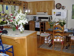 the cabin kitchen