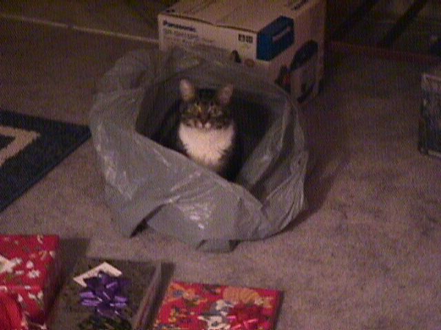 Squeak - Christmas 2002