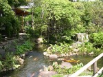 Water Garden at Hasedera with koi