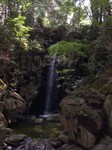 Waterfall at Naritasan Shinshoji Temple