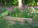 DSCN2012.JPG