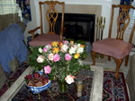 Pretty roses