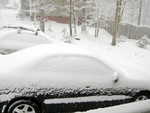 Cars (morning 20090120)
