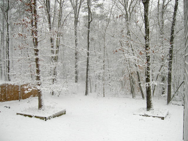 Backyard, snow on fence (morning 20090120)