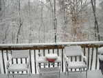 Back deck (morning 20090120)