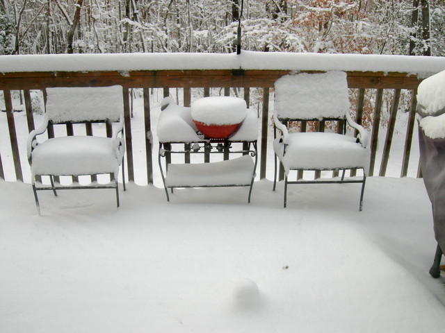 Back deck (afternoon 20090120)