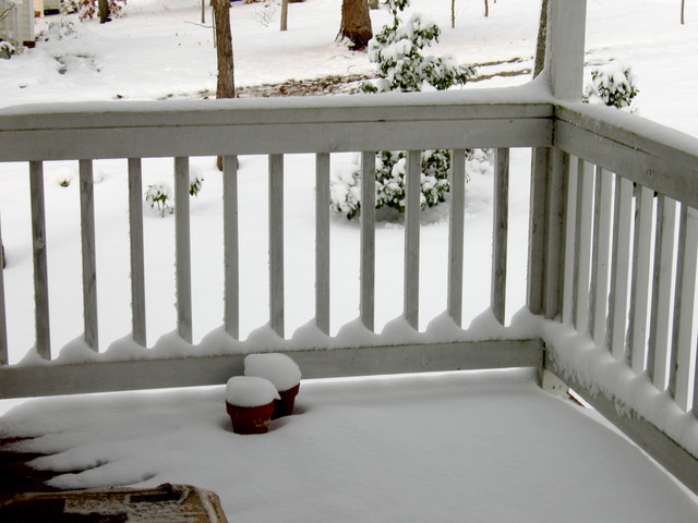 Front porch (afternoon 20090120)