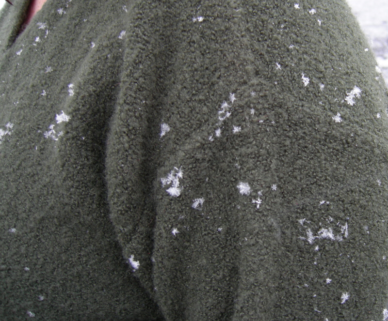 snowflake-zoom.JPG